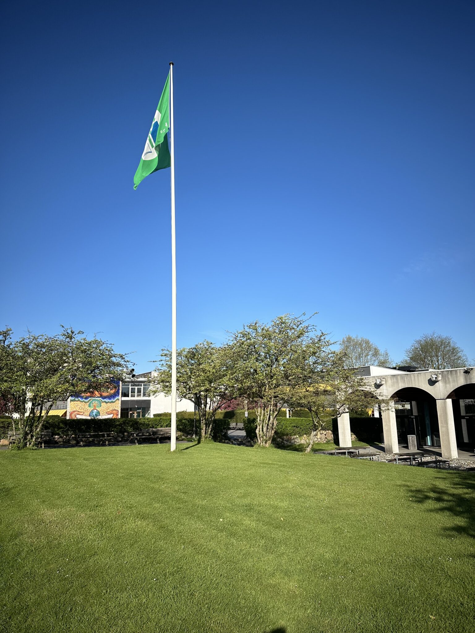 Det grønne flag bliver hejst hvert år ifm. miljødagen i april, forudsat at skolen fortsat får tildelt flaget.