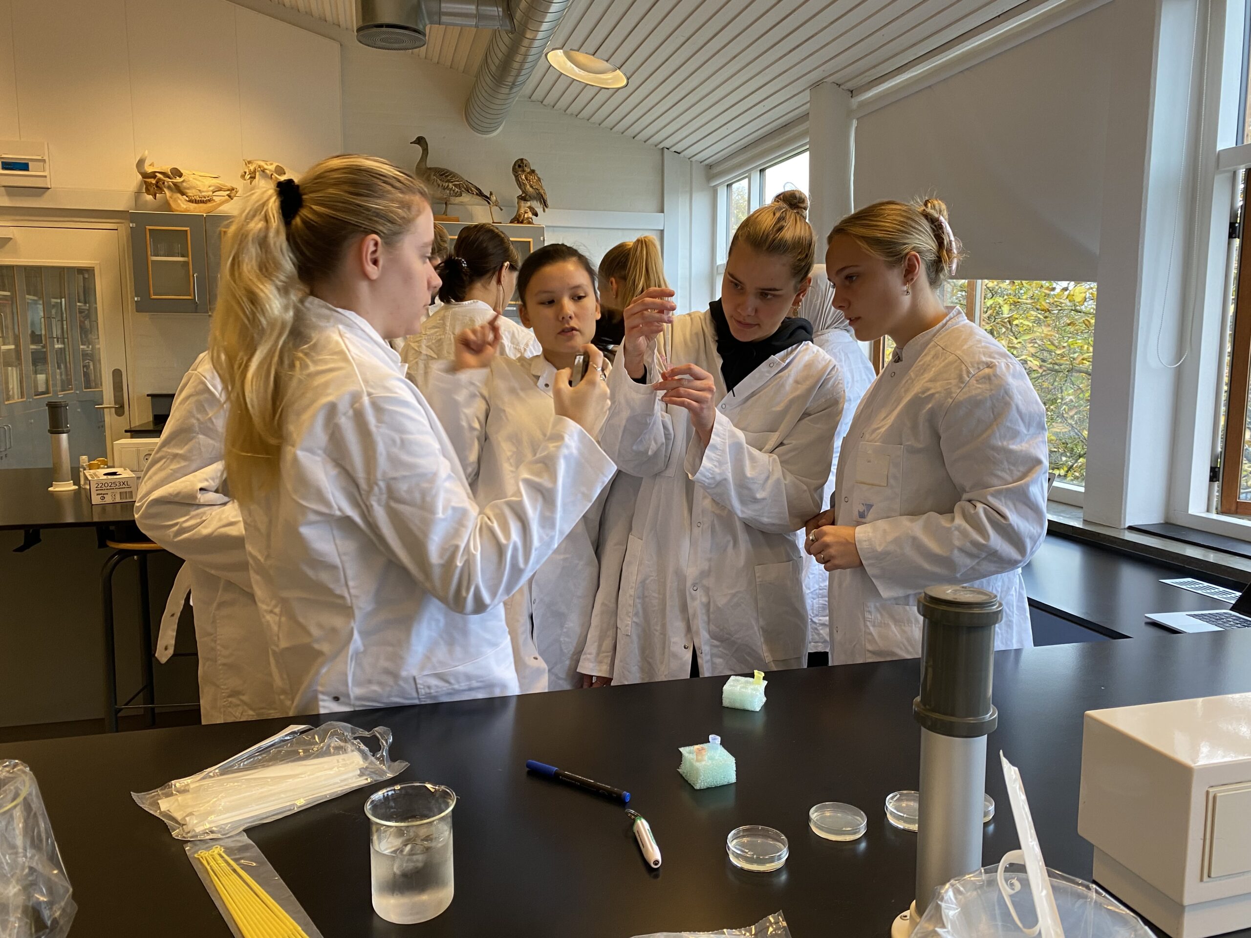 Elever laver eksperimenter i laboratoriet